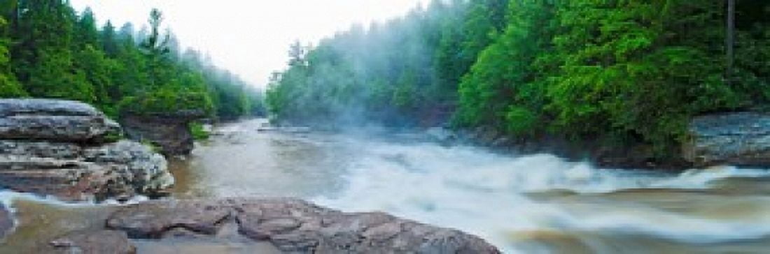 Youghiogheny River a wild and scenic river Swallow Falls State Park Garrett County Maryland USA Canvas Art - Panoramic Images (18 x 6)