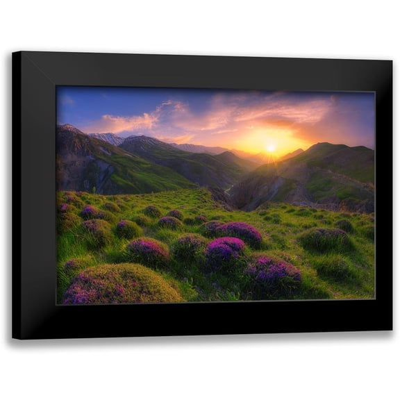 Younesi, Saeed 24x17 Black Modern Framed Museum Art Print Titled - Spring In Show