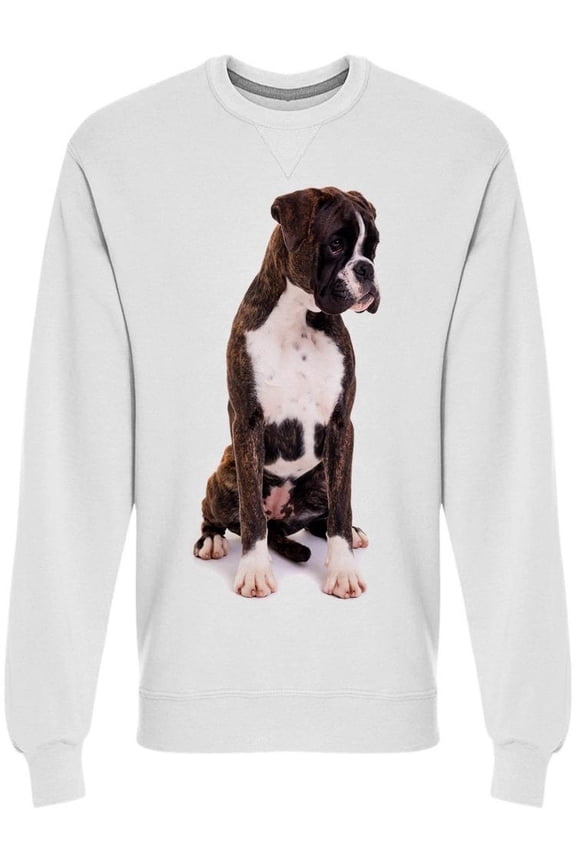 Young And Quiet Boxer Sweatshirt Men -Image by Shutterstock, Male XX-Large