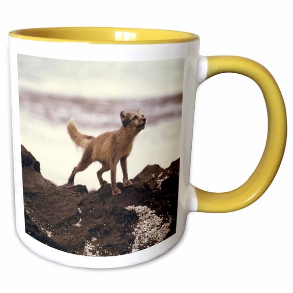 3drose, Young Artic Wolf, 11oz Two-tone Yellow Mug