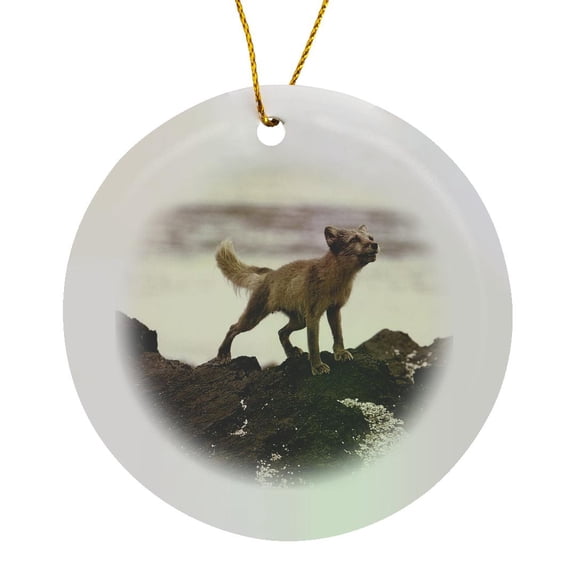 3drose, Young Artic Wolf, Circle Porcelain Ornament