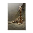 thumbnail image 1 of Young Baby Giraffe Sitting Rectangle Acrylic Fridge Refrigerator Magnet, 1 of 5
