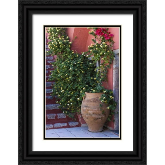 Young, Bill 11x14 Black Ornate Wood Framed with Double Matting Museum Art Print Titled - Greece, Santorini Pot with honeysuckle vine