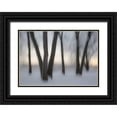 thumbnail image 1 of Young, Bill 14x11 Black Ornate Wood Framed with Double Matting Museum Art Print Titled - Canada, Ottawa, Ottawa River Abstract of trees, 1 of 4