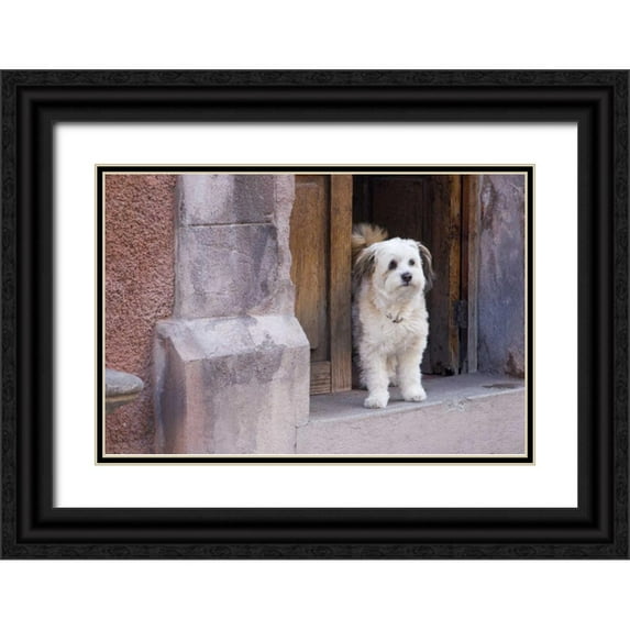 Young, Bill 14x11 Black Ornate Wood Framed with Double Matting Museum Art Print Titled - Mexico White dog standing in open doorway