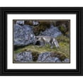thumbnail image 1 of Young, Bill 14x11 Black Ornate Wood Framed with Double Matting Museum Art Print Titled - Norway, Svalbard, Prins Karls Forland, 1 of 4
