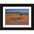 thumbnail image 1 of Young, Bill 18x13 Black Ornate Wood Framed with Double Matting Museum Art Print Titled - Orange purple blossoms, Namaqua NP, South Africa, 1 of 4