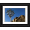 thumbnail image 1 of Young, Bill 18x13 Black Ornate Wood Framed with Double Matting Museum Art Print Titled - South Richtersveld NP Quiver tree and boulder, 1 of 4