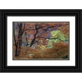 thumbnail image 1 of Young, Bill 18x13 Black Ornate Wood Framed with Double Matting Museum Art Print Titled - UT, Zion NP Maple tree with orange autumn leaves, 1 of 4