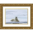thumbnail image 1 of Young, Bill 18x13 Gold Ornate Wood Framed with Double Matting Museum Art Print Titled - Norway, Svalbard Polar bear lying on snow, 1 of 4