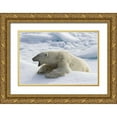 thumbnail image 1 of Young, Bill 18x13 Gold Ornate Wood Framed with Double Matting Museum Art Print Titled - Norway, Svalbard Yawning polar bear on sea ice, 1 of 4
