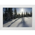 thumbnail image 1 of Young, Bill 18x13 White Modern Wood Framed Museum Art Print Titled - Canada, BC, Smithers Snow-laden spruce trees, 1 of 4