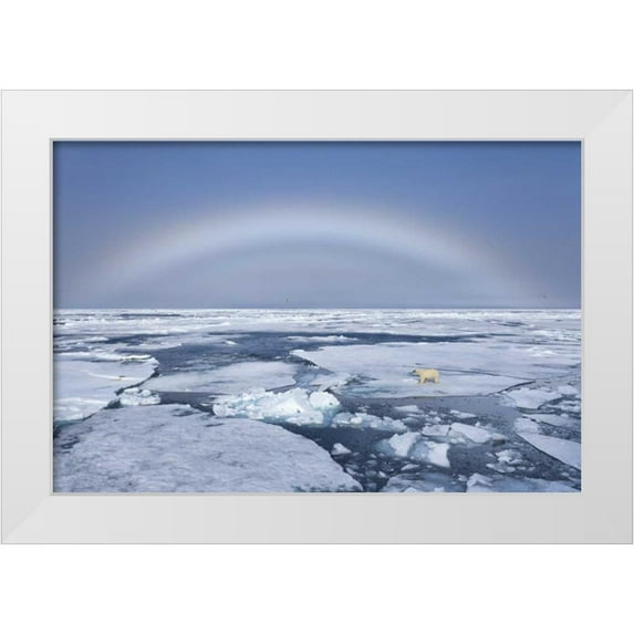 Young, Bill 18x13 White Modern Wood Framed Museum Art Print Titled - Norway, Svalbard Polar bear on broken sea ice