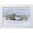 thumbnail image 1 of Young, Bill 24x17 White Modern Wood Framed Museum Art Print Titled - Norway, Svalbard Three polar bears greeting each, 1 of 4