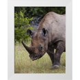 thumbnail image 1 of Young, Bill 26x32 White Modern Wood Framed Museum Art Print Titled - Namibia, Etosha NP Rhinoceros grazing on grass, 1 of 4