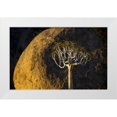 thumbnail image 1 of Young, Bill 32x22 White Modern Wood Framed Museum Art Print Titled - South Richtersveld NP Quiver tree and boulder, 1 of 4