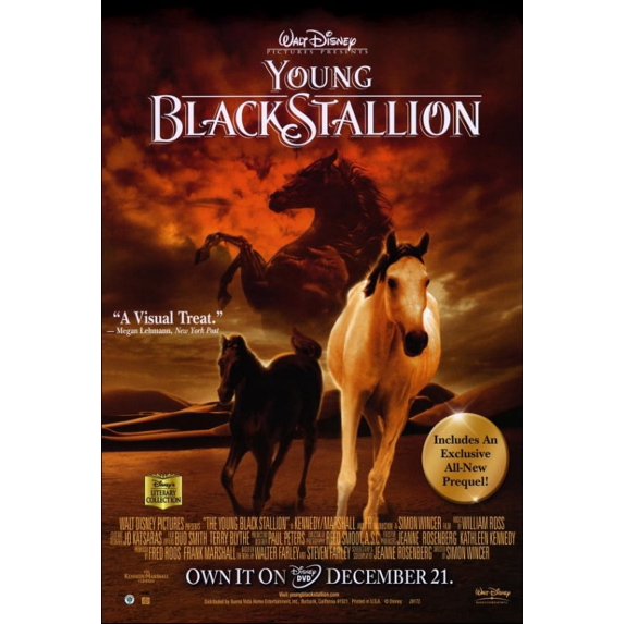 Young Black Stallion Movie Poster (27 x 40)