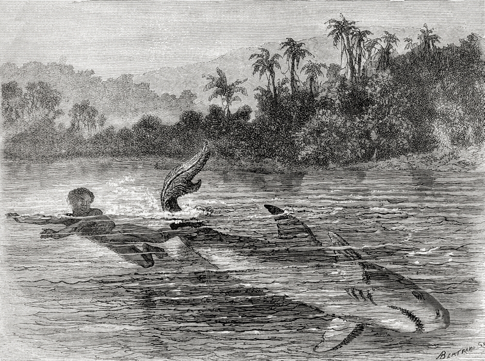 A Young Boy Kicking A Sharks Tail To Escape Its Attack In 19Th Century Colombia From El Mundo En La Mano Published 1875 Canvas Art - Ken Welsh Design Pics (34 x 24)