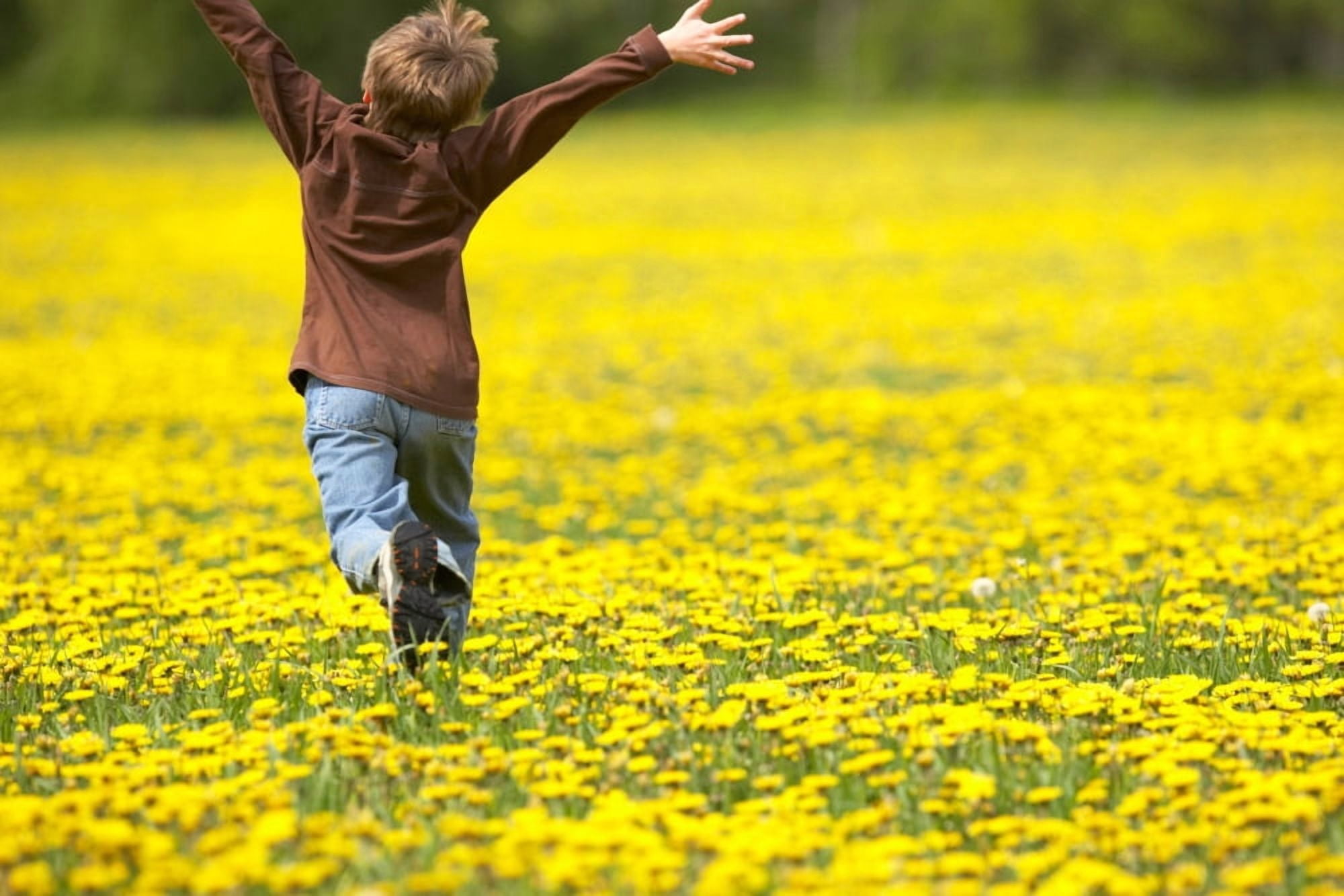 Young Boy Running Through Field Of Dandelions With Hands Up In The Air Fernie British Columbia Canvas Art - Gemstone Images  Design Pics (36 x 24)