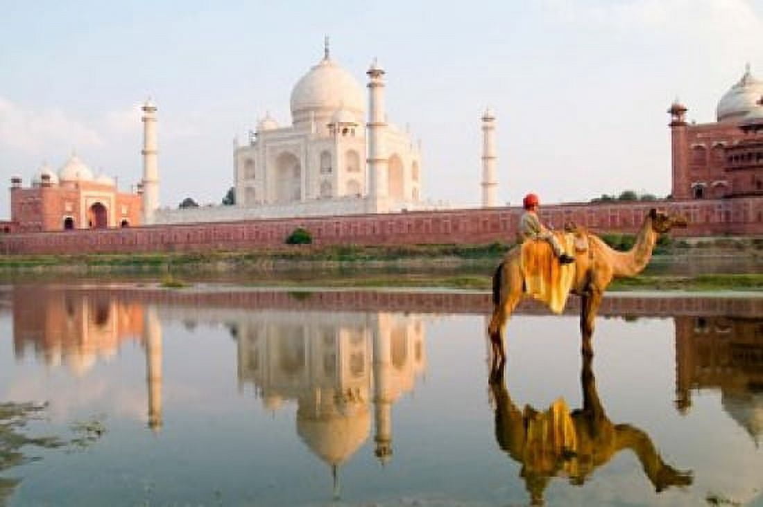 Young Boy on Camel Taj Mahal Temple Burial Site at Sunset Agra India Canvas Art - Bill Bachmann DanitaDelimont (25 x 37)
