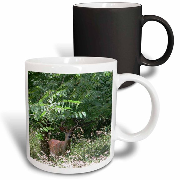 3drose, Young Buck, 11oz Magic Transforming Mug