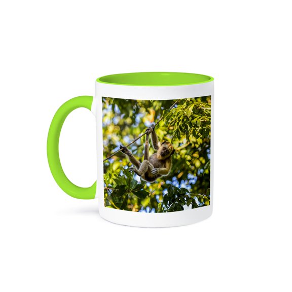 3drose, Young Capuchin Monkey Hangs with His Prehensile Tail in the Pantanal, 11oz Two-tone Green Mug