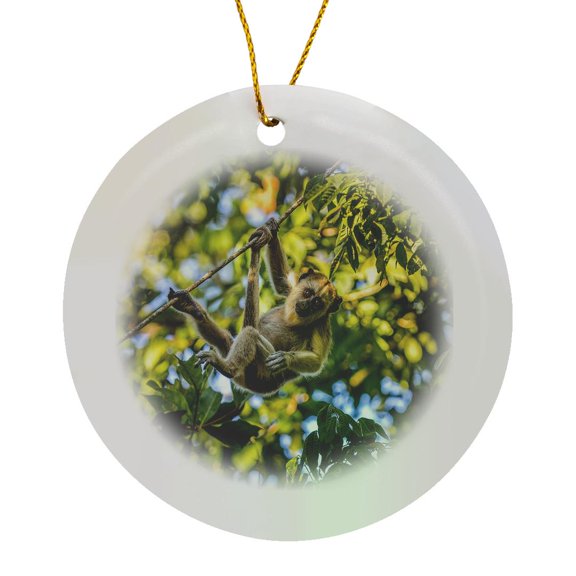 3drose, Young Capuchin Monkey Hangs with His Prehensile Tail in the Pantanal, Circle Porcelain Ornament