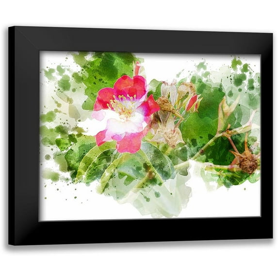 Young, Chamira 14x12 Black Modern Framed Museum Art Print Titled - Floral in Bloom XIII