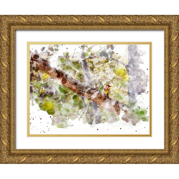 Young, Chamira 14x12 Gold Ornate Wood Framed with Double Matting Museum Art Print Titled - Lost Bird