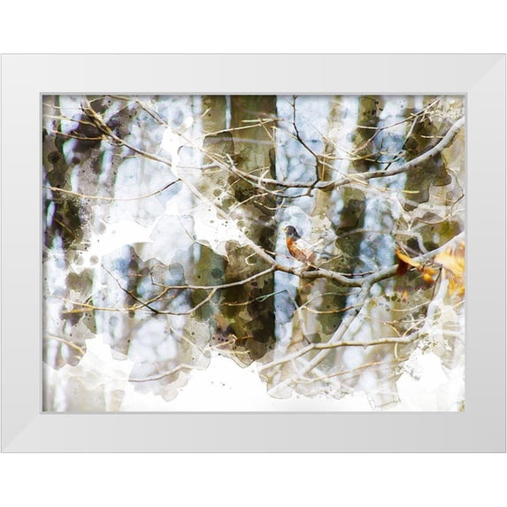 Young, Chamira 18x15 White Modern Wood Framed Museum Art Print Titled - Lost Bird II