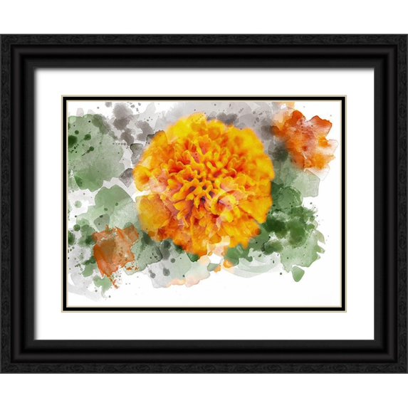 Young, Chamira 32x25 Black Ornate Wood Framed with Double Matting Museum Art Print Titled - Floral in Bloom XIX