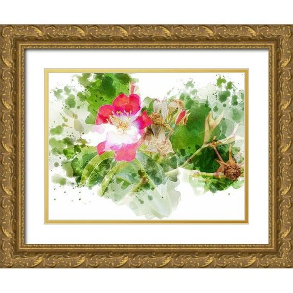 Young, Chamira 32x25 Gold Ornate Wood Framed with Double Matting Museum Art Print Titled - Floral in Bloom XIII