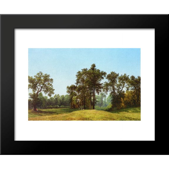 Young Elms 20x24 Framed Art Print by David Johnson