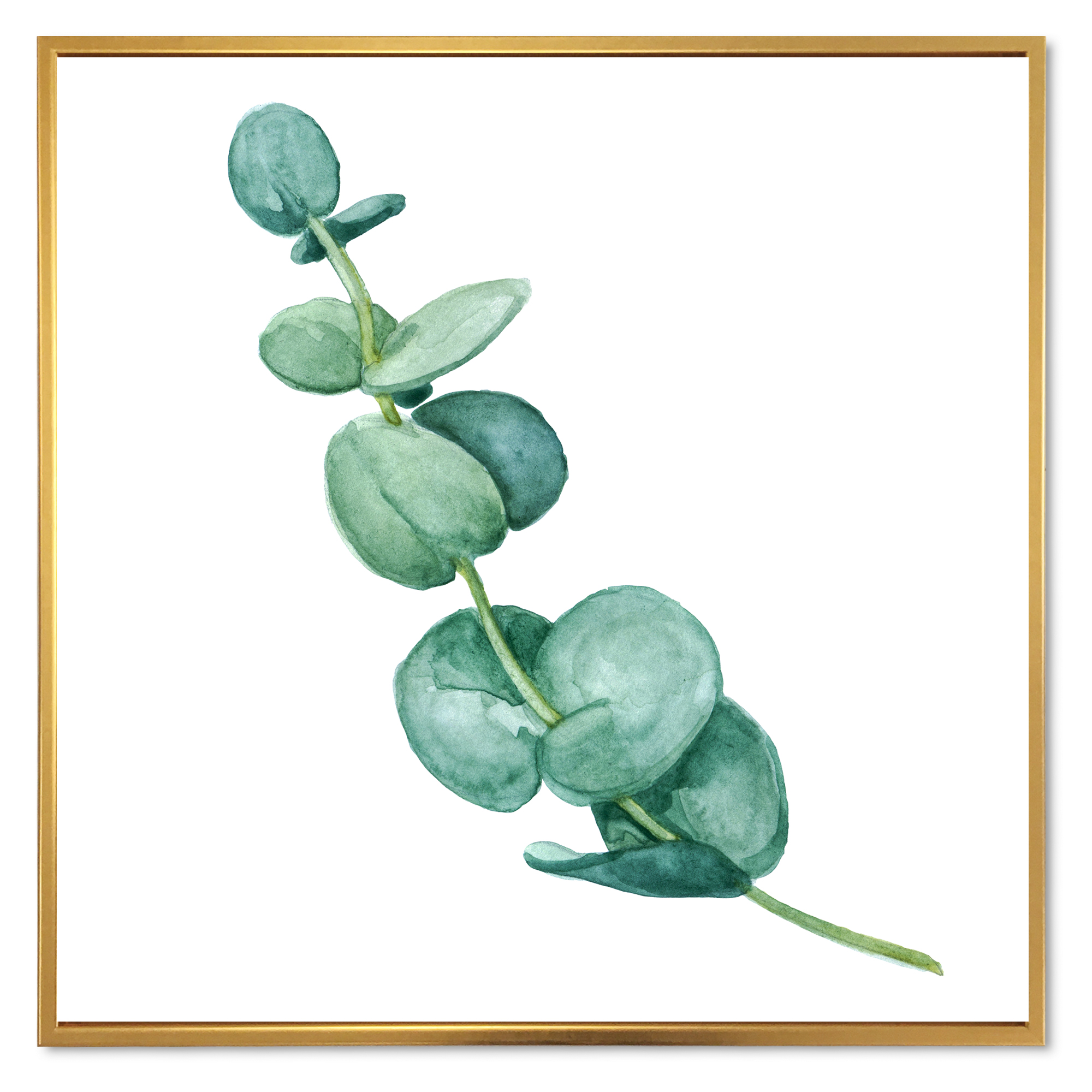 Young Eucalyptus Branches and Leaves II 16 in x 16 in Framed Painting Canvas Art Print, by Designart