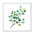 thumbnail image 1 of Young Eucalyptus Branches and Leaves IV 36 in x 36 in Framed Painting Canvas Art Print, by Designart, 1 of 5
