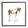 thumbnail image 1 of Young Farm Horse Minimal Country Animal over White Animals & Insects Framed Art Print Wall Art, 17x17, 1 of 7