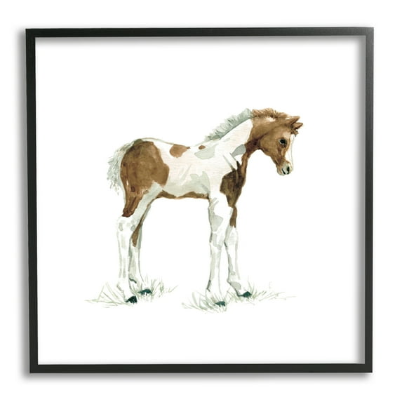 Young Farm Horse Minimal Country Animal over White Animals & Insects Framed Art Print Wall Art, 17x17