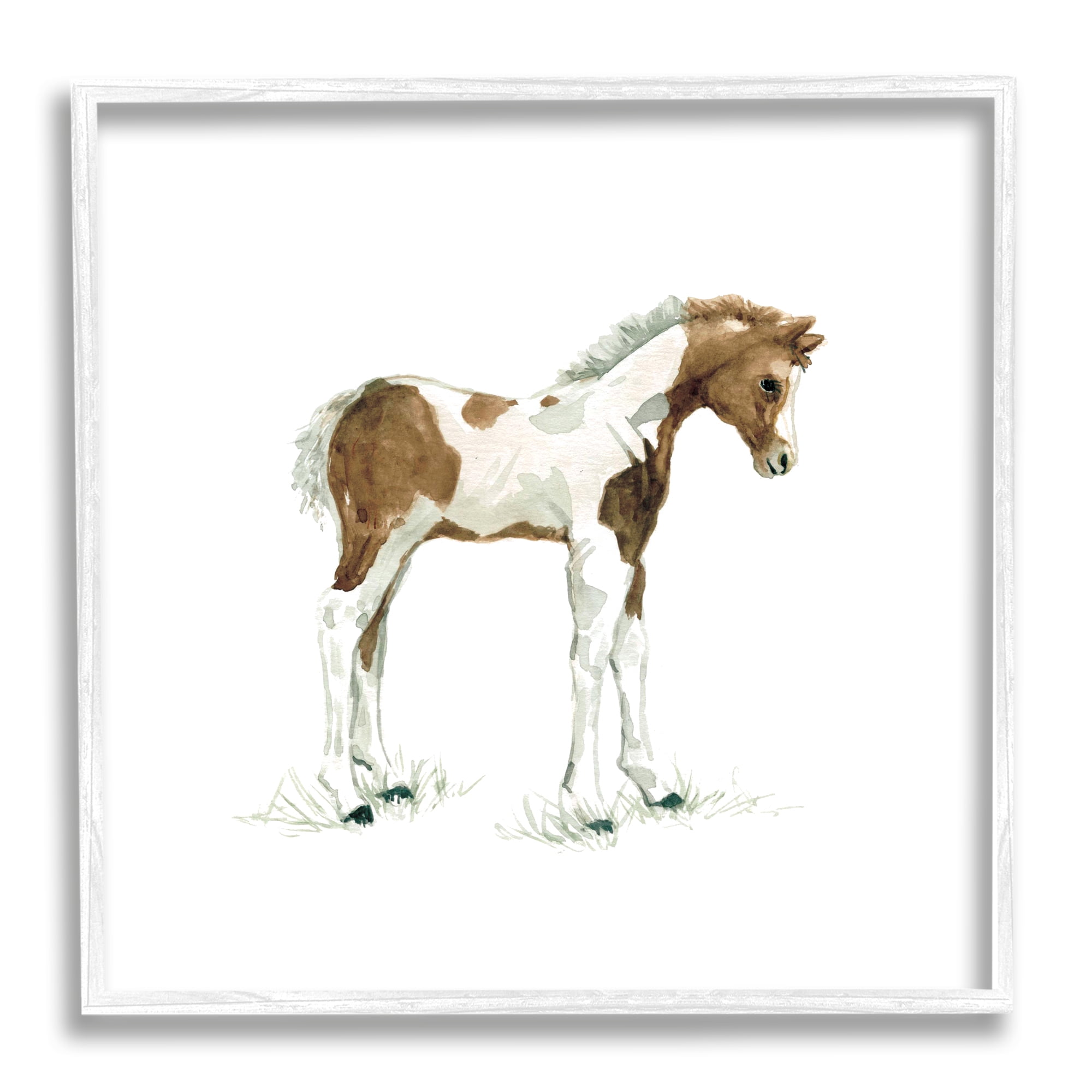 Young Farm Horse Minimal Country Animal over White Animals & Insects Framed Art Print Wall Art, 17x17