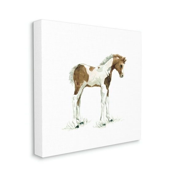 Young Farm Horse Minimal Country Animal over White Animals & Insects Gallery-Wrapped Canvas Print Wall Art, 17x17