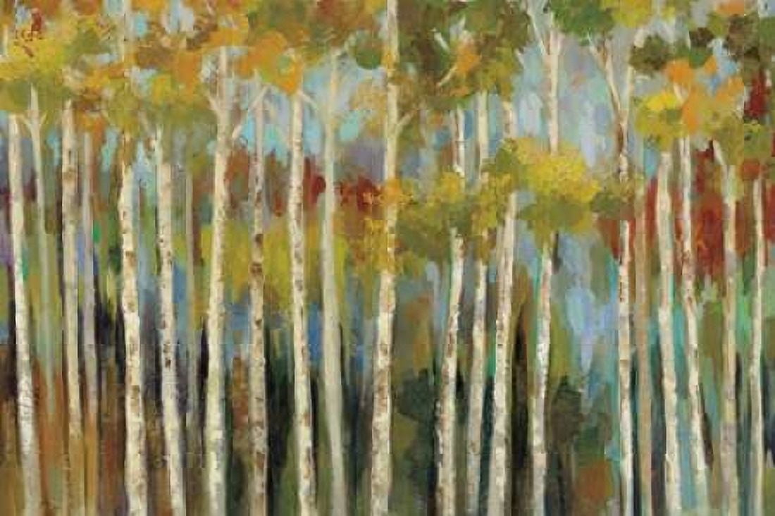 Young Forest III Canvas Art - Silvia Vassileva (12 x 18)