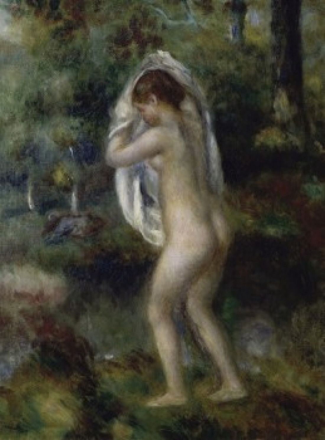 Young Girl Undressing To Bathe In The Forest Pierre Auguste Renoir (1841-1919French) Forbes Collection New York City Canvas Art - Pierre Auguste Renoir (24 x 36)