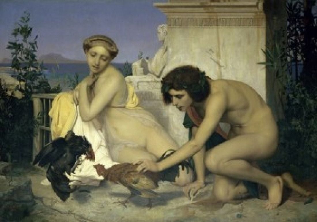 Young Greeks at a Cockfight (Jeunes Grecs Faisant Battre de Coqs) 1846 Jean Leon Gerome (1824-1904French) Musee dOrsay Paris Canvas Art - Jean Leon Gerome (24 x 36)