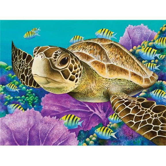 Young Green Sea Turtle Poster Print by Carolyn Steele