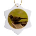 thumbnail image 1 of 3drose, Young Junco at the Bird Feeder, 3 inch Snowflake Porcelain Ornament, 1 of 7