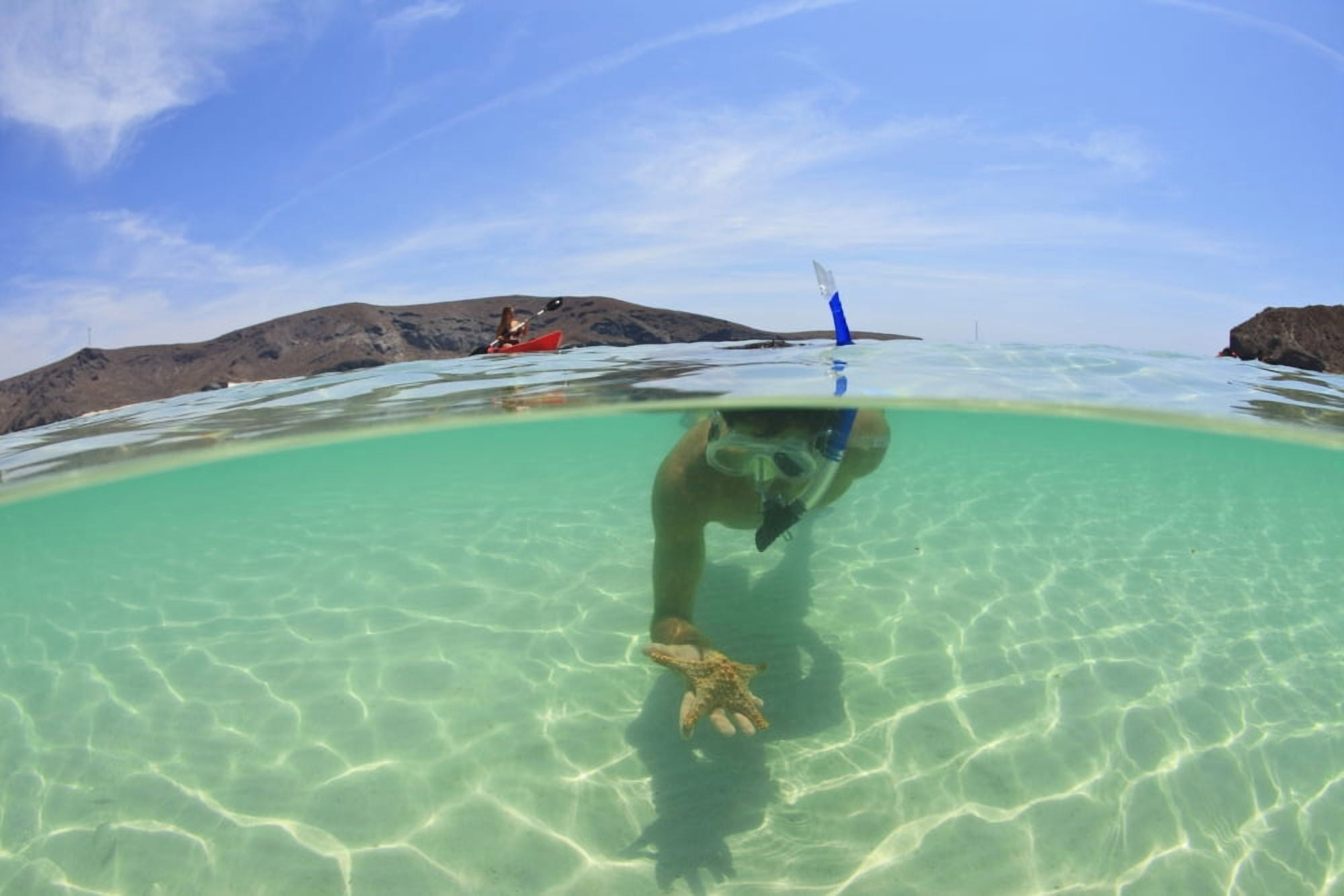 A Young Man Snorkeling Underwater Holding A Starfish In His Hand La Paz Baja California Sur Mexico Canvas Art - Stuart Westmorland Design Pics (19 x 12)