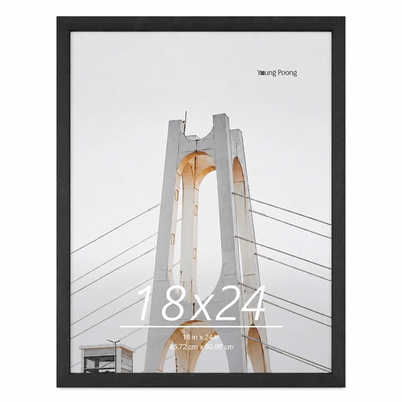 Young Poong 18 x 24 in Wood Picture Frame, Wall Hanging Poster Frame, Black