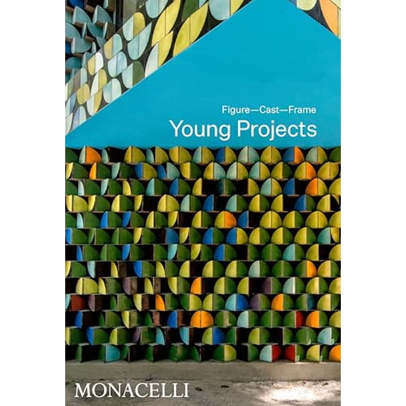 Pre-Owned Young Projects: Figure, Cast, Frame, 9781580935982, 1580935982, Hardcover,