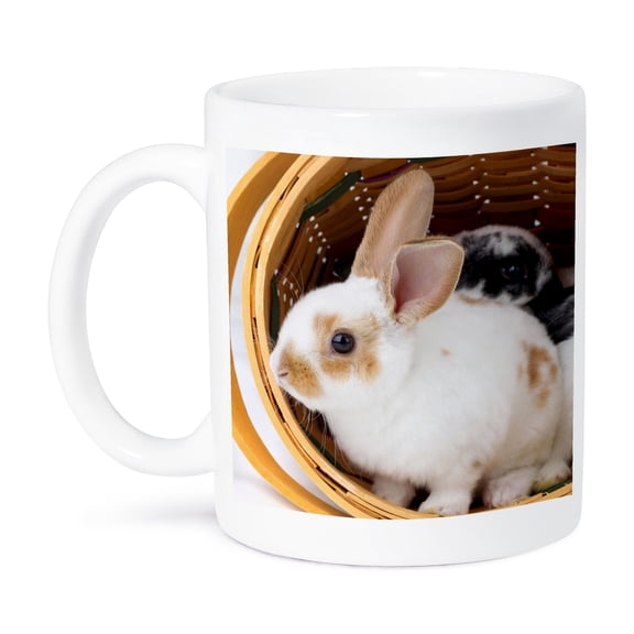 3dRose, Young Rex rabbits in Easter basket., 15oz Mug