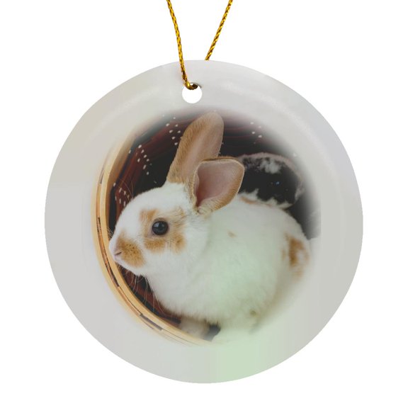 Young Rex Rabbits In Easter Basket., Circle Porcelain Ornament