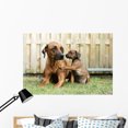 thumbnail image 1 of Young Rhodesian Ridgeback Giving Wall Mural by Wallmonkeys Peel and Stick Graphic (48 in W x 33 in H) WM184589, 1 of 4